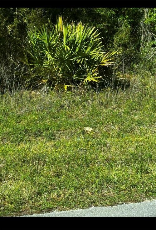 2 24th, OCALA, FL, 34481 | Card Image