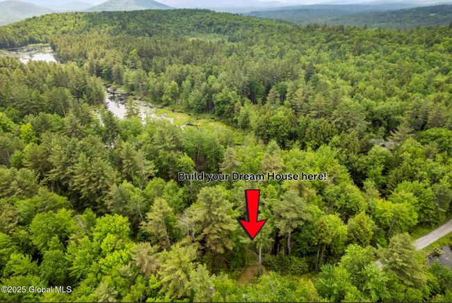 321 Antler Lake Rd, Home with 0 bedrooms, 0 bathrooms and null parking in Wevertown NY | Image 8