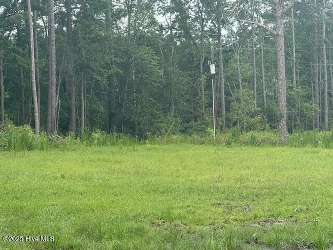 751 Stack Turner Rd, Home with 0 bedrooms, 0 bathrooms and null parking in Chadbourn NC | Image 10