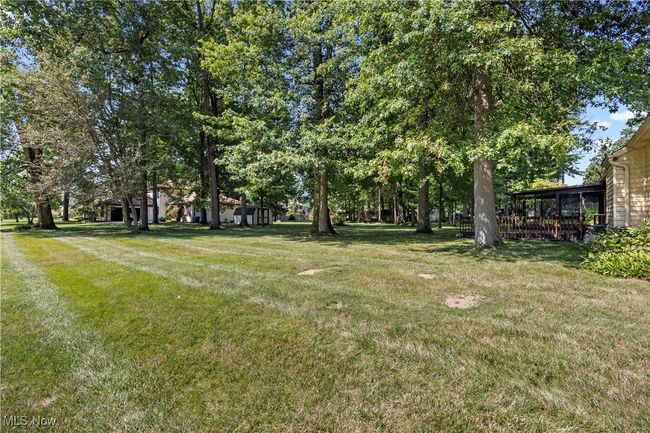 View of grassy yard | Image 39