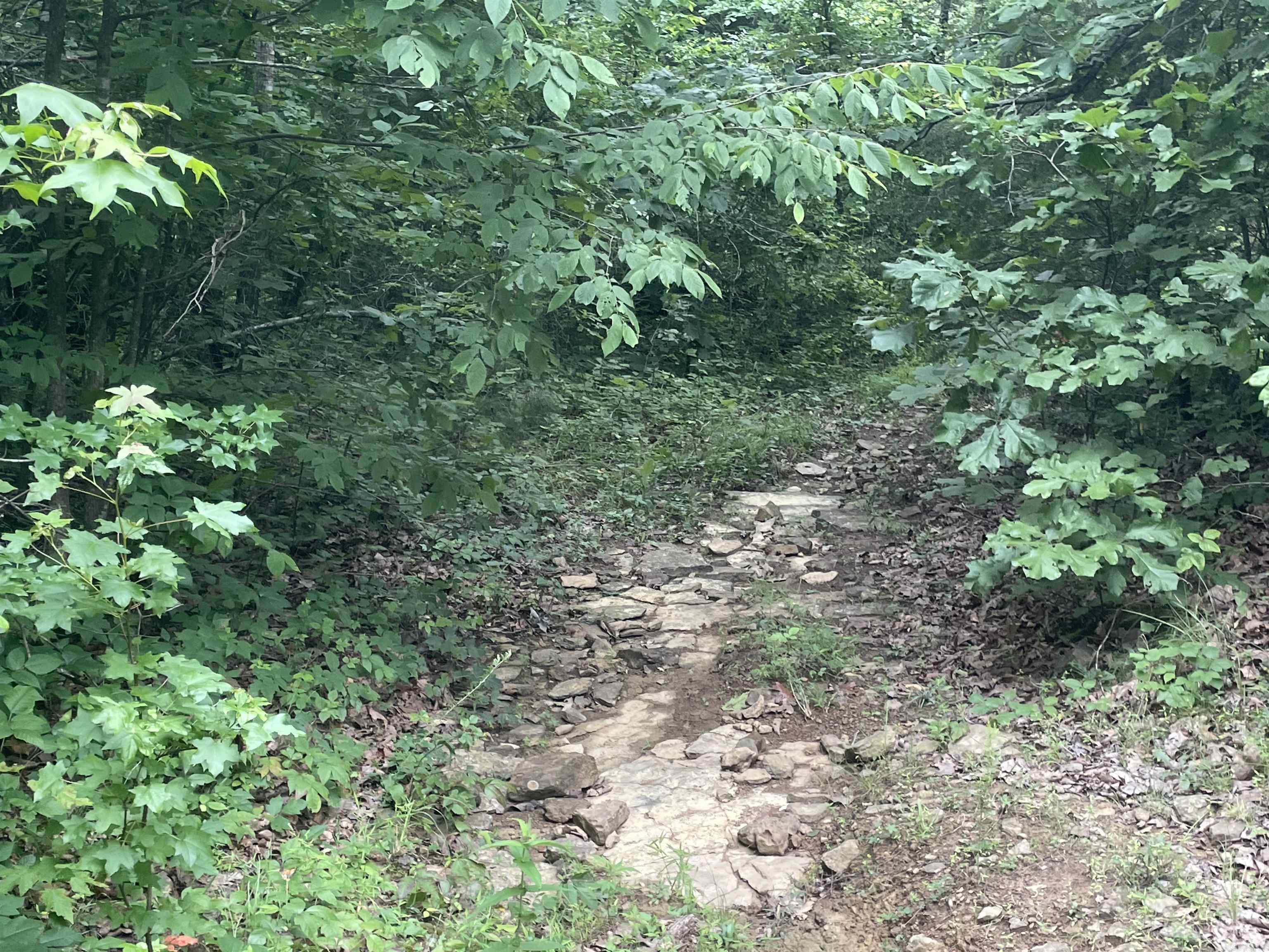 Land in Clinton 4