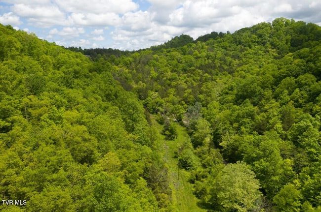 47 Tbd Enoch Rd, Home with 0 bedrooms, 0 bathrooms and null parking in Eidson TN | Image 36