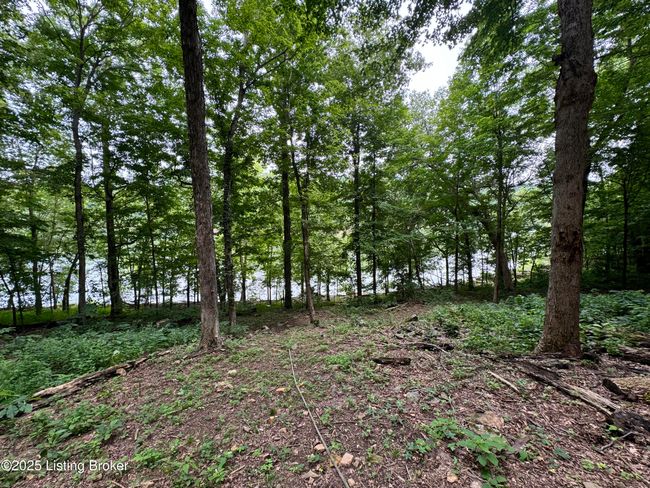 601 Indian Ridge Rd, House other with 4 bedrooms, 3 bathrooms and null parking in Falls Of Rough KY | Image 70