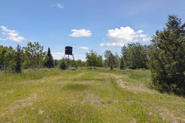 Another deer blind | Image 74