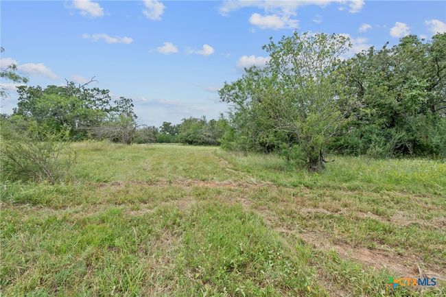 3597 Baker Rd, Home with 0 bedrooms, 0 bathrooms and null parking in Kingsbury TX | Image 16