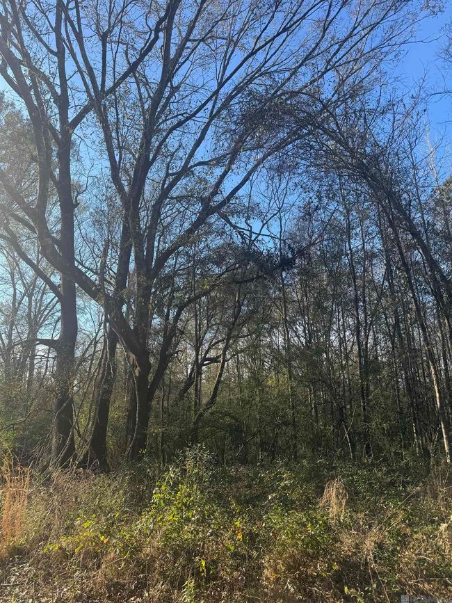5903 Line Rd, Home with 0 bedrooms, 0 bathrooms and null parking in Ethel LA | Image 9