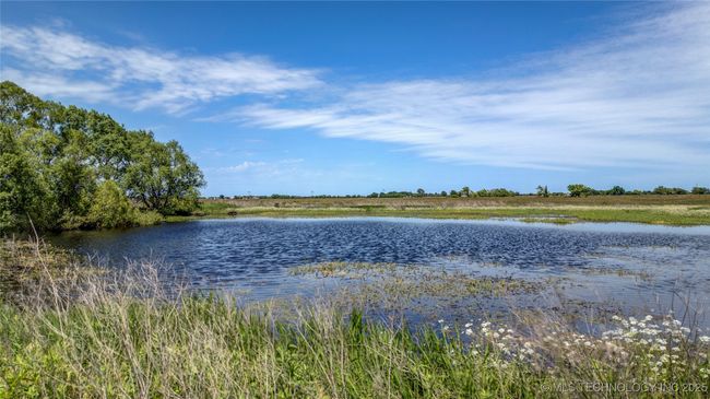 Pond view | Image 4