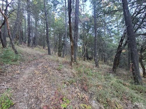 28990 Eel River Ranch Rd, Covelo, CA, 95428-9699 | Card Image