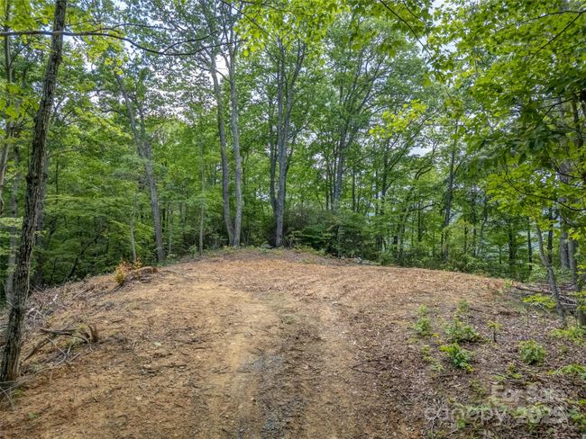 000 White Rock Branch Rd, Home with 0 bedrooms, 0 bathrooms and null parking in Candler NC | Image 6