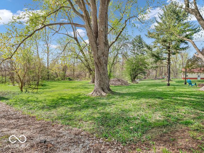 view of yard | Image 31