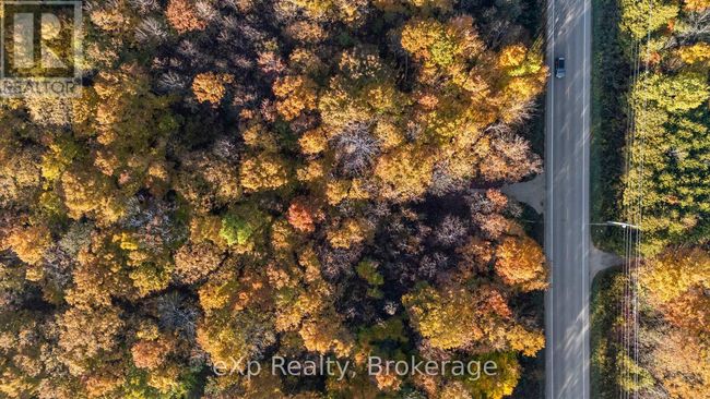 PTLT 17 Grey Road 17, Home with 0 bedrooms, 0 bathrooms and null parking in Georgian Bluffs ON | Image 13