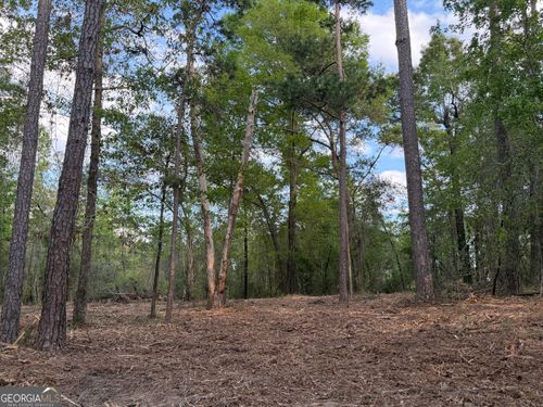 0 Booster Club Rd, BAINBRIDGE, GA, 39819 | Card Image