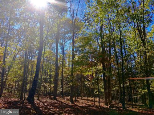 Lot 30 Wild Flower Way, Albright, WV, 26519 | Card Image