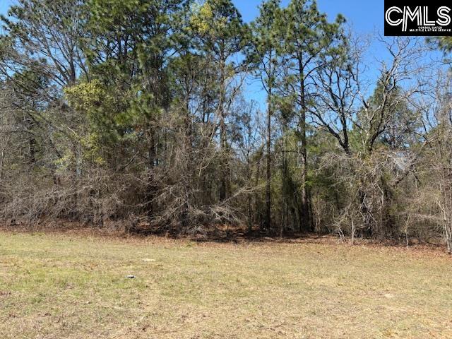 Land in Leesville 4