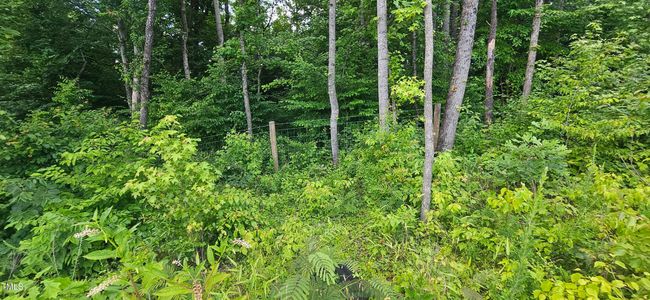 20240613_150443 | Image 5