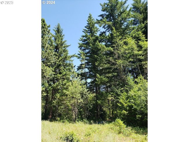 492 Sleepy Hollow Rd, Home with 0 bedrooms, 0 bathrooms and null parking in Appleton WA | Image 12