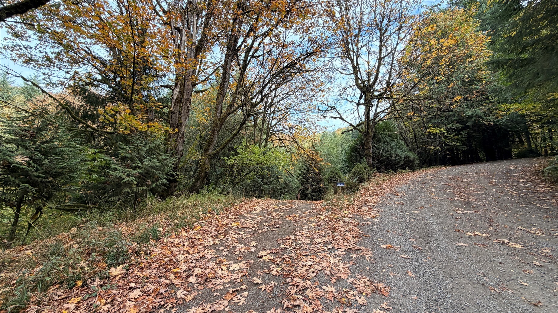 Land in Kalama 5
