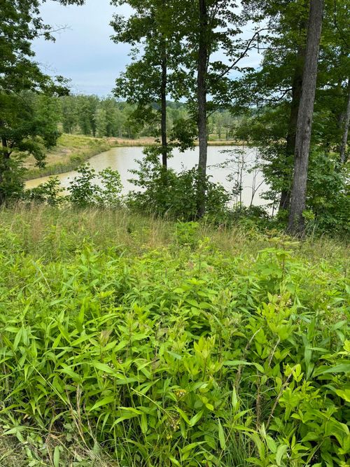 103 Mauney Chapel Road, Corbin, KY, 40701 | Card Image