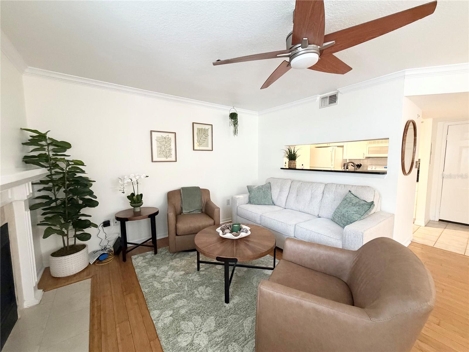 Residential Lease in TAMPA 4