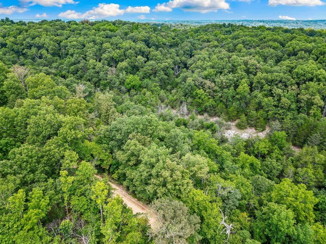 1106 Boone Hollow Rd, Home with 0 bedrooms, 0 bathrooms and null parking in Powell MO | Image 9