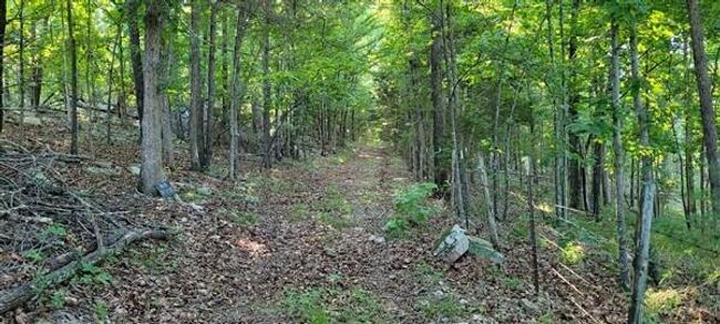 20220620_082048 | Image 40