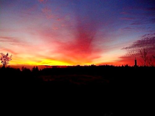 163 Middle Road, North Haven, ME, 04853 | Card Image