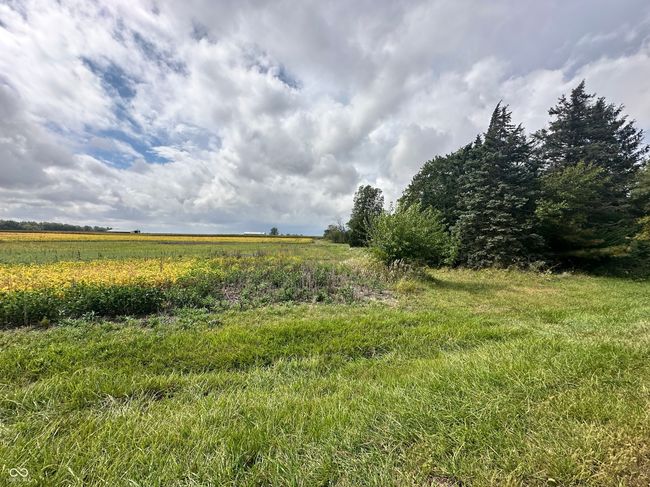 2996 N Us Highway 421, Home with 0 bedrooms, 0 bathrooms and null parking in Whitestown IN | Image 11