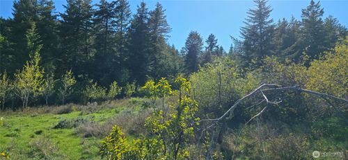 112 Ellemeham Mountain Rd, Oroville, WA, 98844 | Card Image