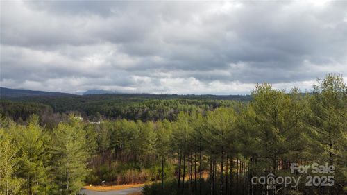 26-26 Peninsula Reserve Rd, Nebo, NC, 28761 | Card Image