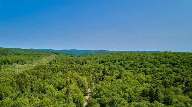 172 Wards Rd, House other with 3 bedrooms, 2 bathrooms and 6 parking in Livingston Manor NY | Image 25