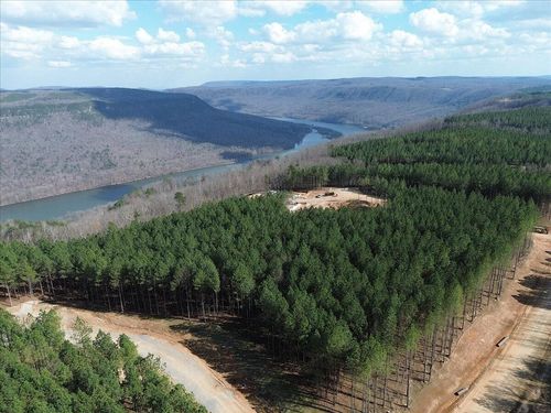 0 Mullins Point, Guild, TN, 37340 | Card Image