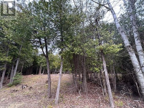 00 Snowdons Corners Rd, Merrickville, ON, K0G1N0 | Card Image