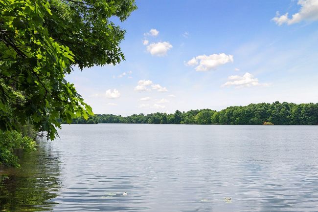 Your future backyard, Lake O'Dowd! Full recreational lake, ski, fish and enjoy all year round! Easy access to Hwy 169 and so many south metro amenities. Lake adventures are right here in Shakopee! Main lake ski course setup. | Image 60