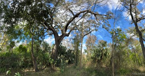 9291 E Riverbluff Ct, Inverness, FL, 34453-1179 | Card Image