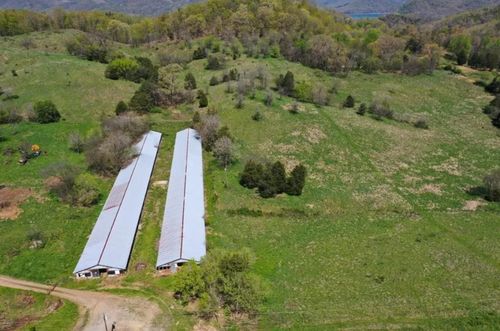 2595 Three Springs Rd, RUSSELLVILLE, TN, 37860-8607 | Card Image