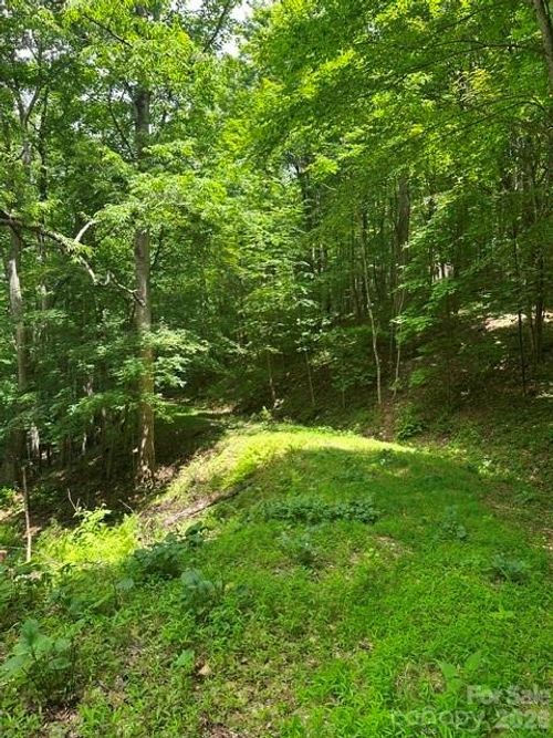 2-TBD Mountain Home Road, Elk Park, NC, 28622 | Card Image