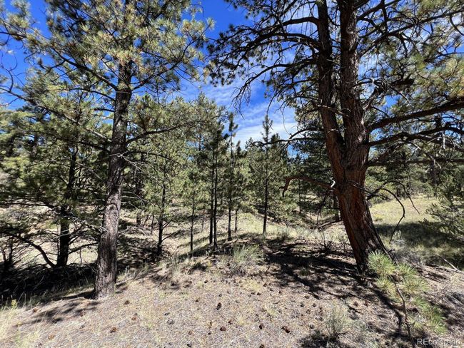 82 Kiowa Cir, Home with 0 bedrooms, 0 bathrooms and null parking in Westcliffe CO | Image 17
