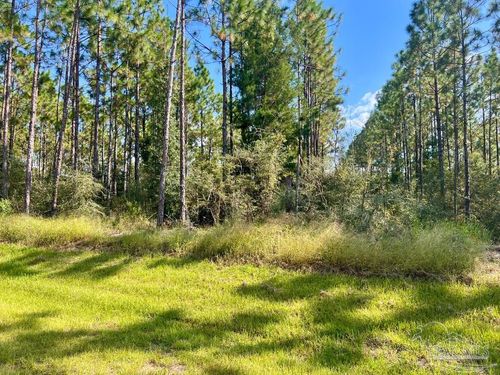Lot 29 Morgan Ln, Molino, FL, 32577 | Card Image