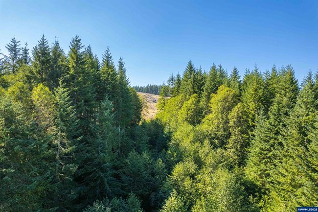 0 Bald Mountain Rd, Home with 0 bedrooms, 0 bathrooms and null parking in Beaver OR | Image 18