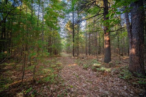 North Wildwood Road, Manistee, MI, 49660 | Card Image