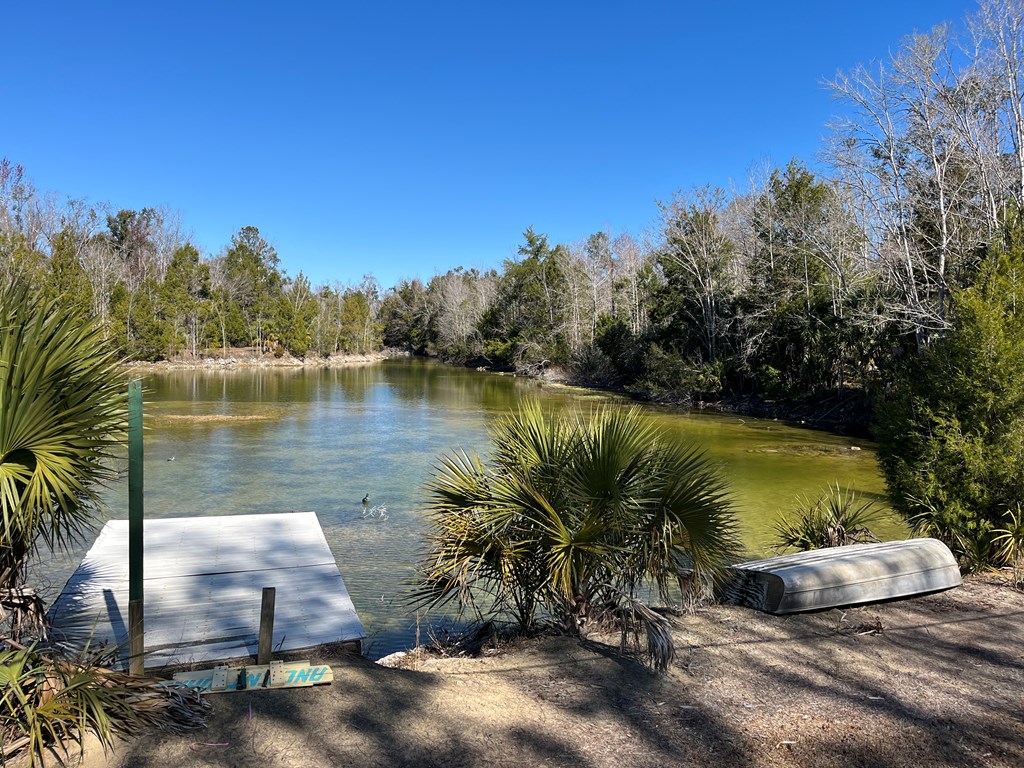 Land in Steinhatchee 4