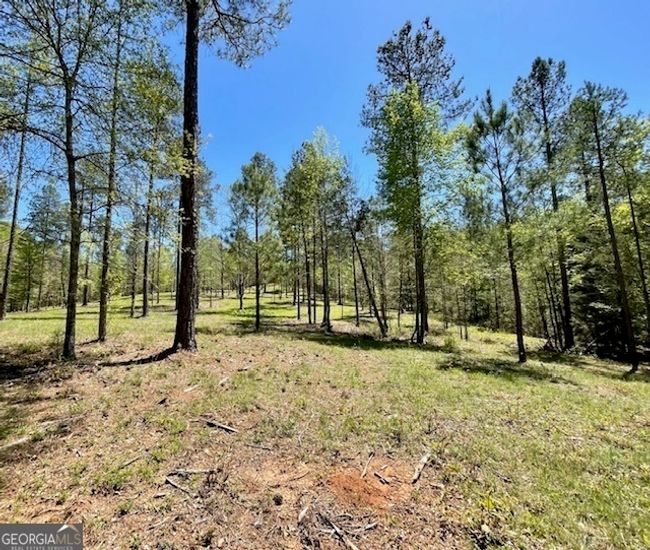 1276 Hornets Bridge Rd, Home with 0 bedrooms, 0 bathrooms and null parking in Elberton GA | Image 17