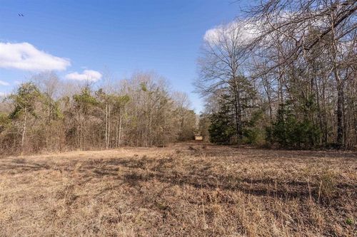 TBD Stevens Dr, Marietta, TX, 75566 | Card Image