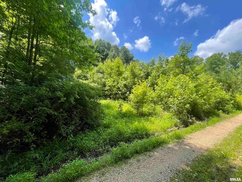 4 River Rock Rd, Murphysboro, IL, 62966 | Card Image