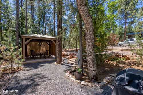 3810 S Mule Skinner Loop, Show Low, AZ, 85901-0221 | Card Image