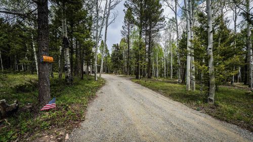 513 Crest Drive, Cimarron, CO, 81220 | Card Image