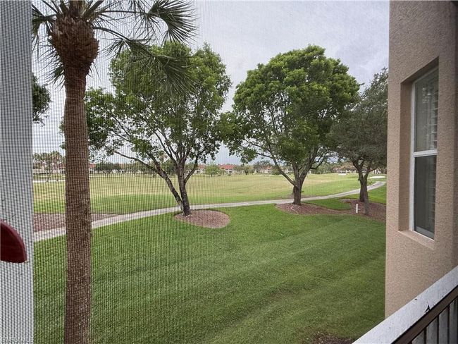 View of green lawn | Image 19