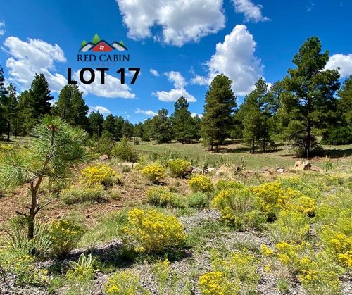 Lot 17 Red Cabin Ranch, Vernon, AZ, 85940 | Card Image