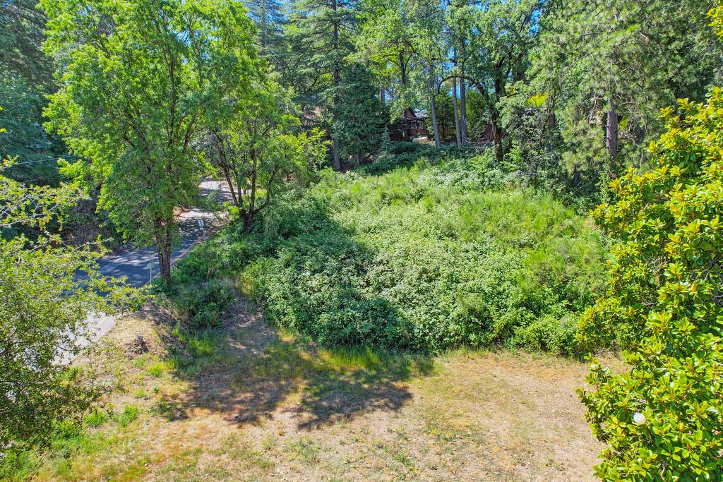 Land in Placerville 5