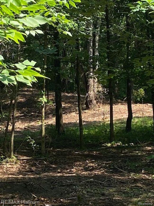 6 Sleaford Parcel 6   2.1 Acres Road, Home with 0 bedrooms, 0 bathrooms and null parking in Howell Township MI | Image 42